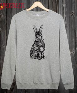 Rabbit Top Sweater