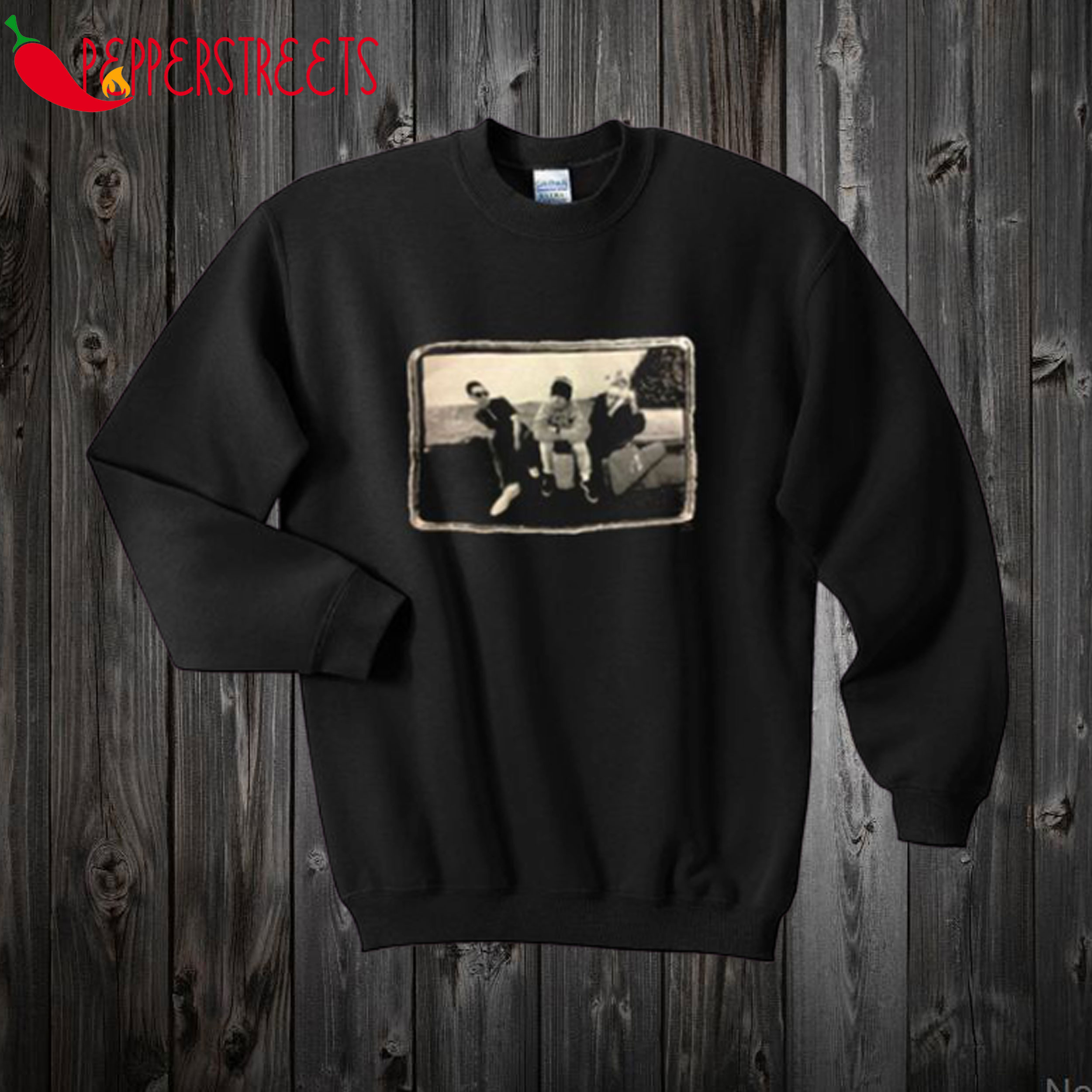 vintage beastie boys sweatshirt