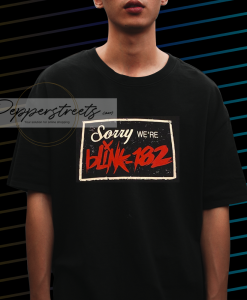 2004 Era Blink 182 Band Tshirt NF