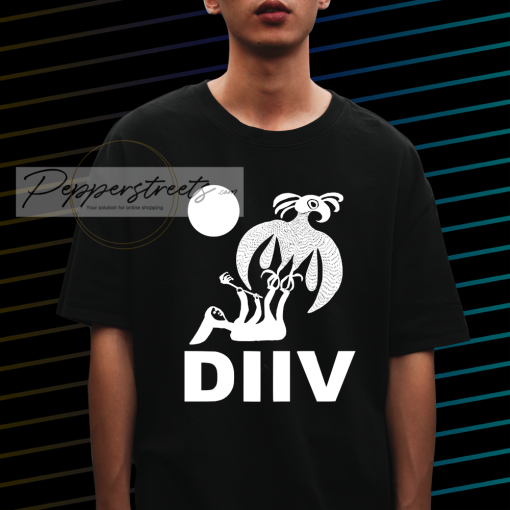 DIIV Oshin t-shirt NF