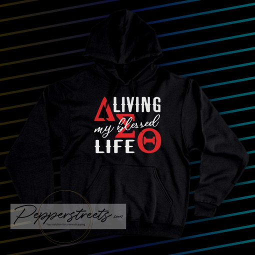 Delta Sigma Theta Paraphernalia Hoodie