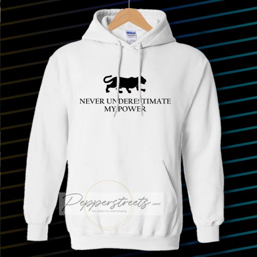 Never underestimate my power Hoodie