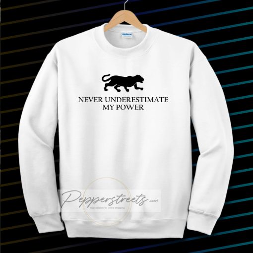 Never underestimate my power Sweatshirt