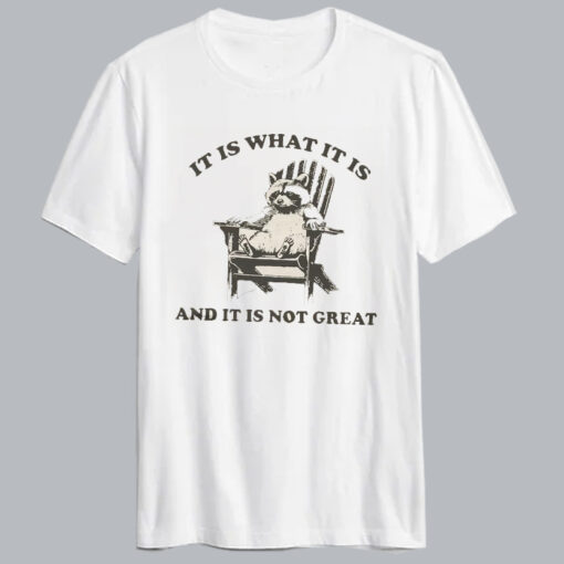 It Is What It Is Raccoon T Shirt